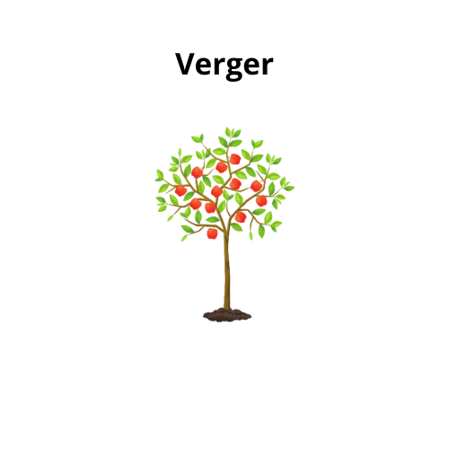 Verger