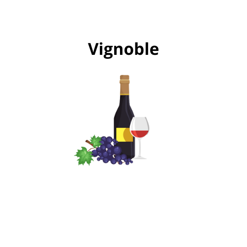 Vignoble