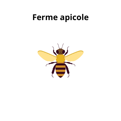 Ferme apicole