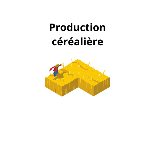 Production céréalière