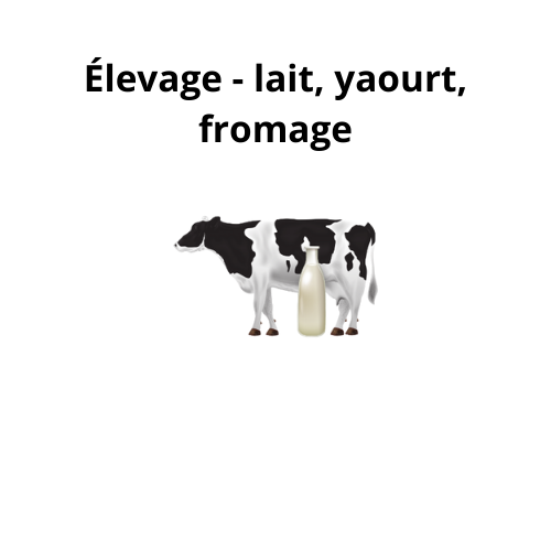 Élevage - lait, yaourt, fromage