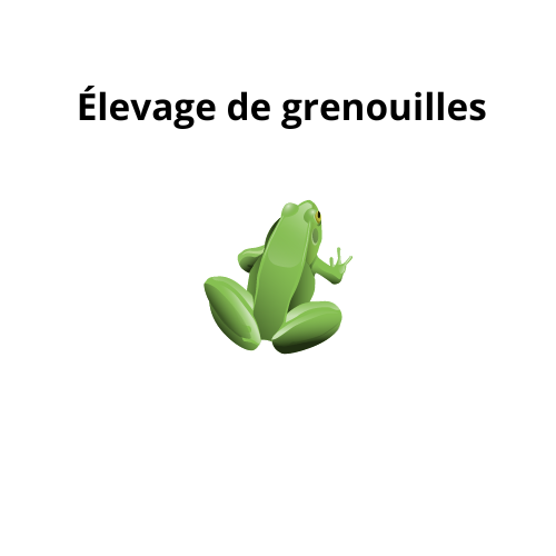 Élevage de grenouilles